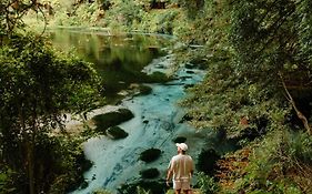 Tasman Holiday Parks - Rotorua